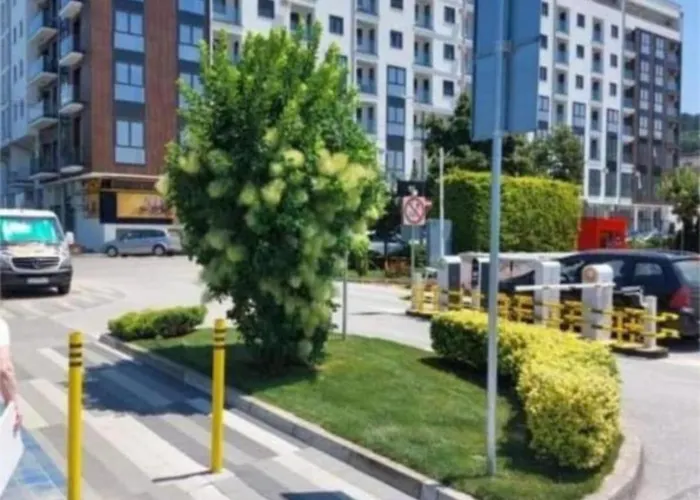 Nastasija- Gleda Na Aqva Park * Jagodina